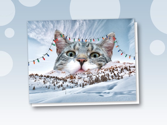 Happy Holidays Cat Greeting Card, Cat Christmas Card Set, Cat Stationery, Pet Card, Cat Lover Gift, Cat Art, Kitty Card, Cat Person Gift