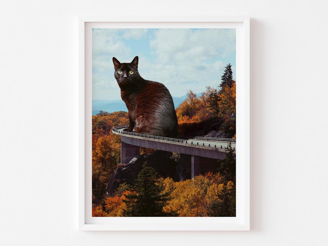 Black Cat Art Print: Blue Ridge Parkway, Asheville NC, Fall Decor - Etsy