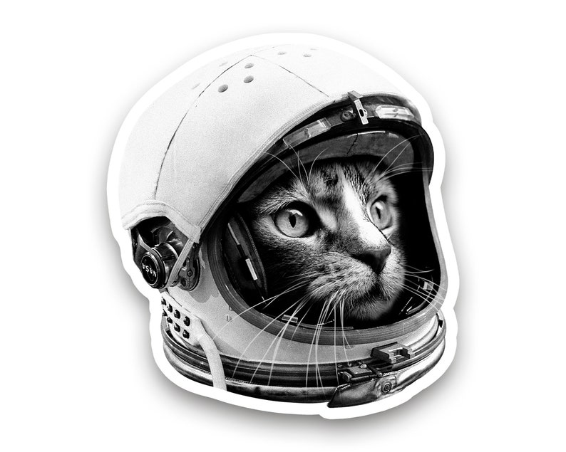 Astronaut Cat Sticker Black & White Space Cat Sticker Cat Gift Vinyl Sticker MacBook Journaling Scrapbooking Hydroflask image 1