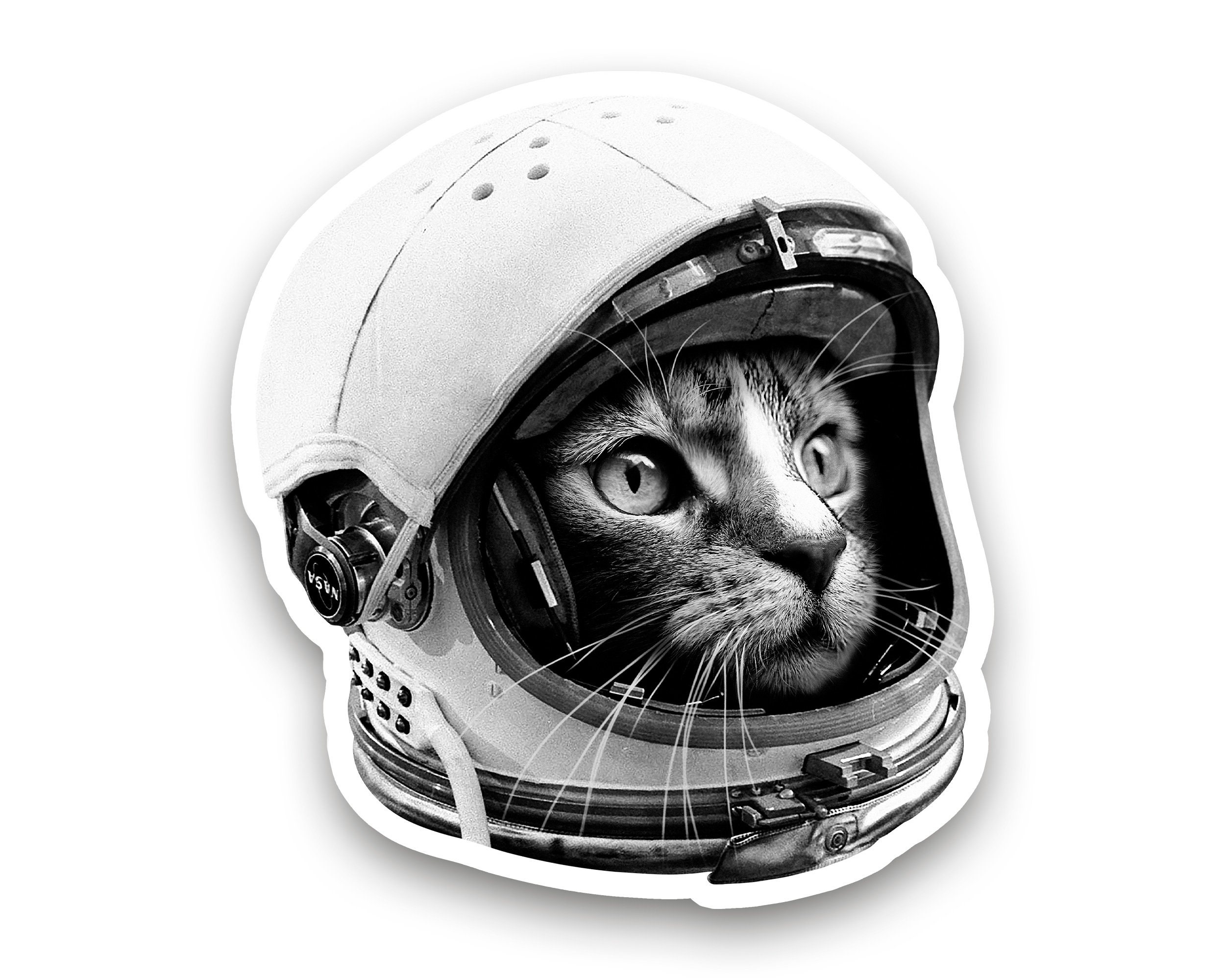 Space Cats - Mini Sticker Pack – FunUsualSuspects