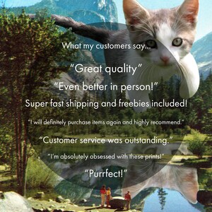 May include: A collage of images with a cat's head superimposed over a landscape photo. The text "What my customers say..." is at the top of the image.  The text "Great quality", "Even better in person!", "Super fast shipping and freebies included!", "I will definitely purchase items again and highly recommend.", "Customer service was outstanding.", "I'm absolutely obsessed with these prints!", and "Purrfect!" is written in a circle around the cat's head.