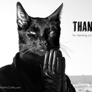 K&ouml;nnte beinhalten: Eine schwarze Katze tr&auml;gt einen schwarzen Lederhandschuh, mit dem Text "THANKS for checking out my shop" in wei&szlig;en Buchstaben auf wei&szlig;em Hintergrund.
