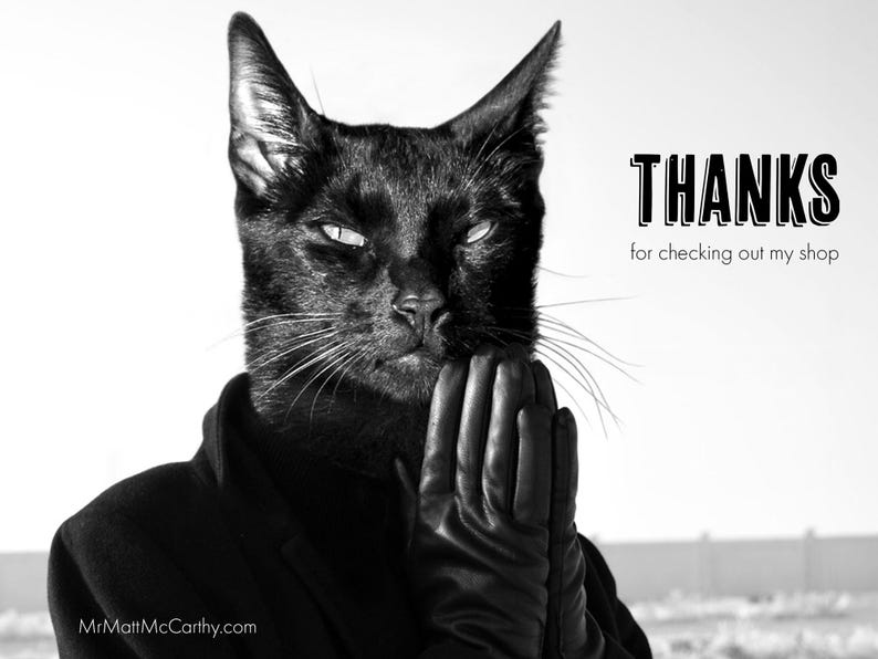 K&ouml;nnte beinhalten: Eine schwarze Katze tr&auml;gt einen schwarzen Lederhandschuh, mit dem Text "THANKS for checking out my shop" in wei&szlig;en Buchstaben auf wei&szlig;em Hintergrund.