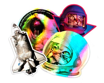 Stickerpakket kattenruimte | Astrokatten | Waterflessticker | Holografische regenboogsticker | Laptopsticker | Cadeau kattenliefhebber | Verjaardag kat | NASA