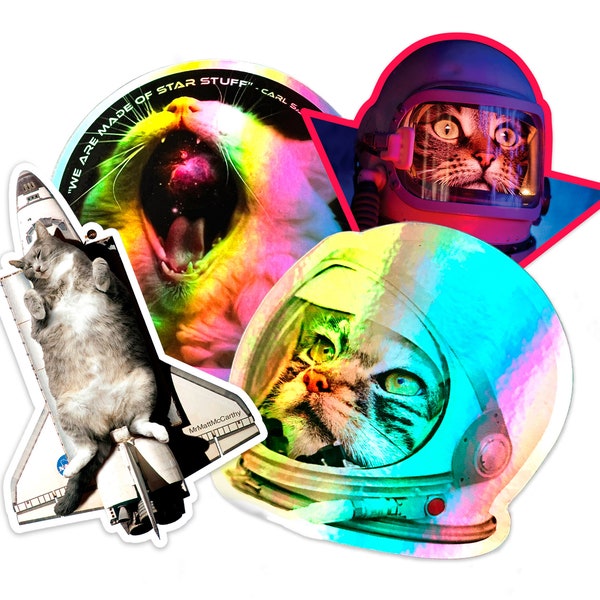 Cat Space Sticker Pack | Astrokatzen | Wasserflaschen-Aufkleber | Holografisch Regenbogen Sticker | Laptop Aufkleber | Katzenliebhaber Geschenk | Katze Geburtstag | Nasa