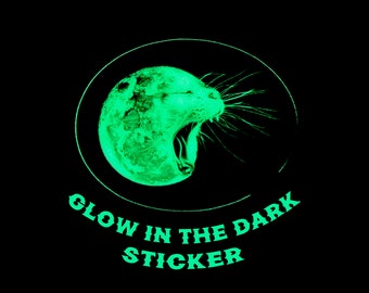 Glow in the Dark Moon Cat Sticker, Full Moon Sticker, Glowing Cat Vinyl Sticker, Space Sticker, Cat Person Gift, Sticker for Laptop