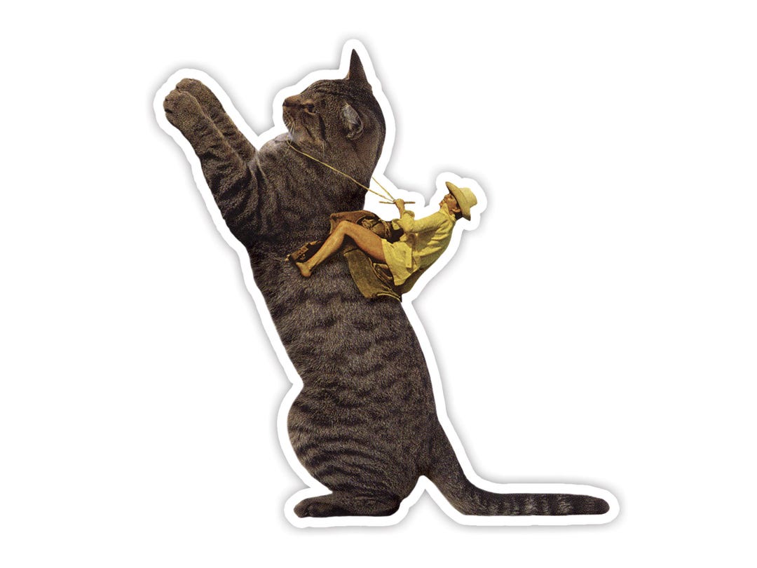 Cat Rider Vinyl Sticker, Weatherproof Sticker, Car Decal, Cat Laptop ...