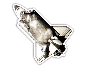 Space Shuttle Aufkleber, Astronomie Aufkleber, graue Katze, Legekatze, entzückende Kitty