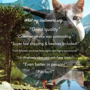 K&ouml;nnte beinhalten: Eine Collage aus Kundenrezensionen &uuml;ber ein Produkt, die einen Katzenkopf mit einem wei&szlig;en und grauen Fellmuster zeigt. Der Text lautet "Was meine Kunden sagen..." gefolgt von mehreren positiven Rezensionen, darunter "Tolle Qualit&auml;t", "Kundenservice war hervorragend", "Super schneller Versand & Gratisgeschenke inklusive!", "Ich werde auf jeden Fall wieder Artikel kaufen und kann es nur empfehlen.", "Ich bin absolut vernarrt in diese Drucke!", "Noch besser in echt!" und "Perfekt!"