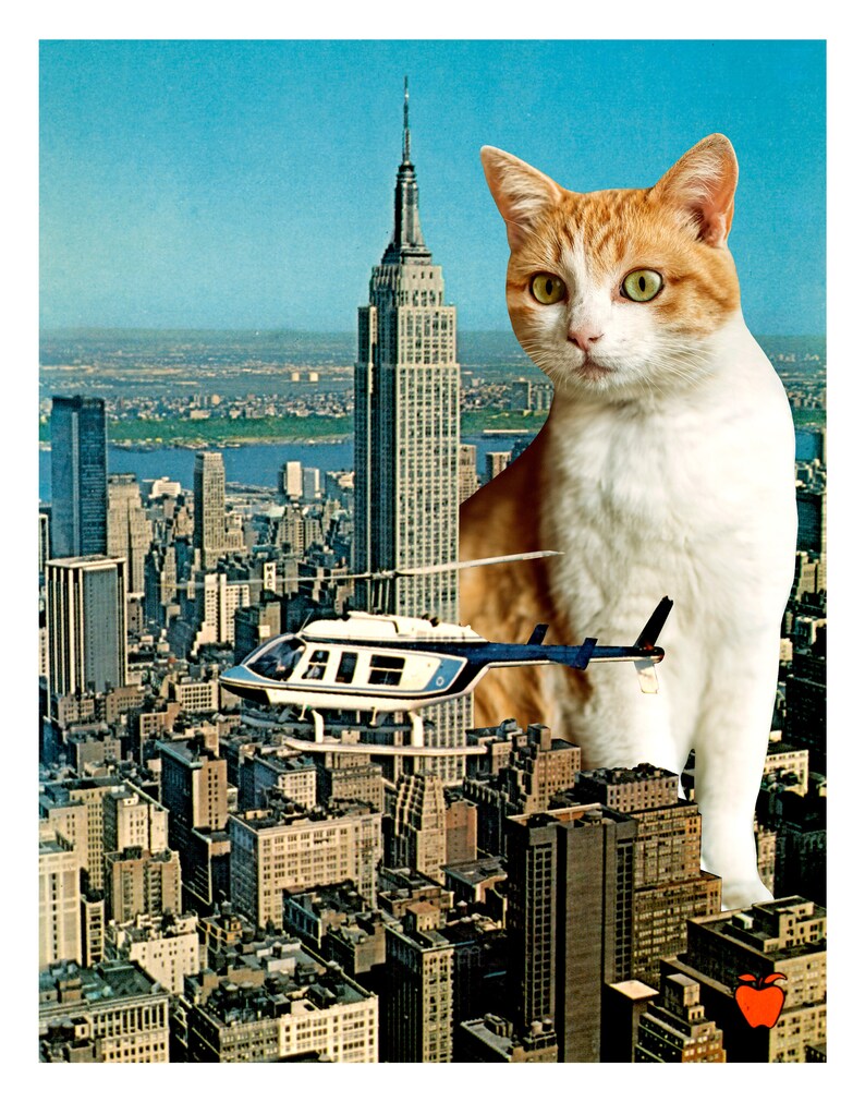 Cat Surviving Fall