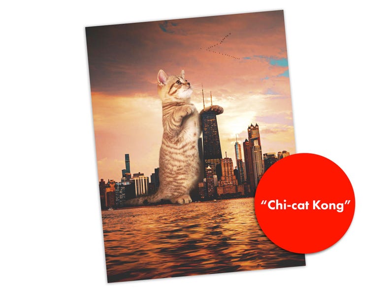 K&ouml;nnte beinhalten: Ein rechteckiger Druck mit einer riesigen braunen getigerten Katze, die bei Sonnenuntergang in einem Gew&auml;sser neben einer Skyline steht. Die Katze hat ihre Pfoten auf einem Wolkenkratzer. Ein roter Kreis enth&auml;lt den wei&szlig;en Text "Chi-cat Kong".