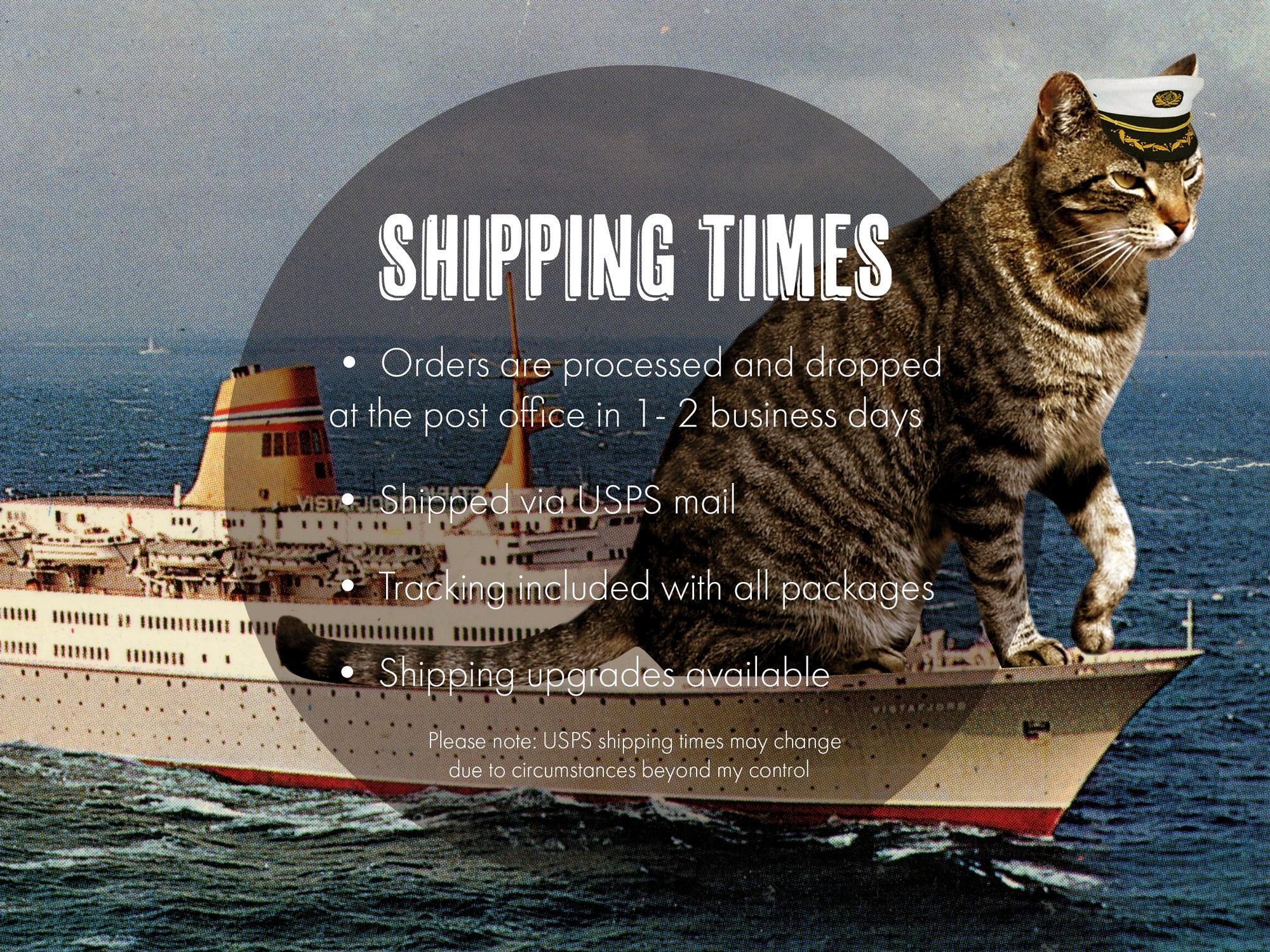 Chicago Print, Cat Art Print, Chicago Wall Art, Cat Lover Gift, Chicago ...