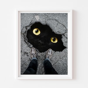 Black Cat Hole Art Print, Cat Decor, Cat Lover Gift, Surreal Art, Collage, Cat Person Present, Cat Mom, Black Cat Lover