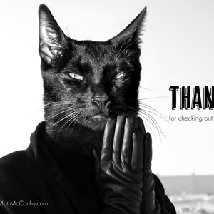 May include: A black cat wearing a black leather glove, with the text "THANKS for checking out my shop" on a white background.