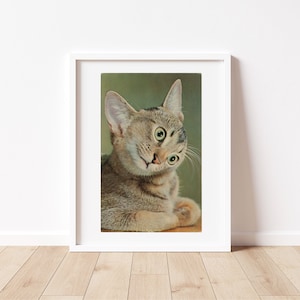 Stampa gatto confuso, Arte gatto strano, Gatto vintage, Cartolina gatto, Regalo amante dei gatti, Inaugurazione della casa, Gattino carino, Regalo gatto unico, Persona gatto