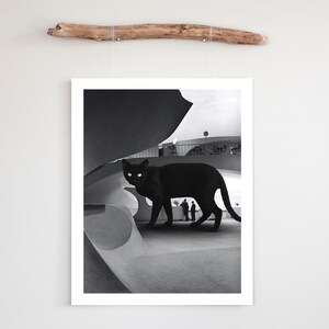 May include: A black cat with bright yellow eyes walks through a modern, white building with a curved ceiling. The cat is in the foreground of the image, and the building is in the background.