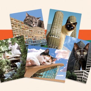 MIDCENTURY MODERN ART Set mit 10 Postkarten, Katzenpostkarten, Postkartenset Kunst, Architektur Geschenke, Katzenkunst, schwarze Katze, Geschenk für Katzenliebhaber
