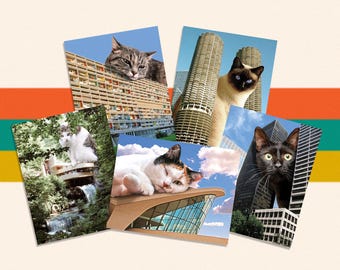 Midnight Kitten Postcard Midnight Kitten Postcard