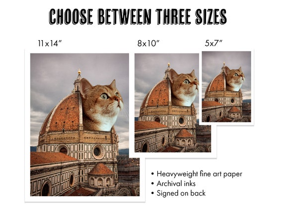Florence Italy Cat Art Print, Italian Artwork, Florence