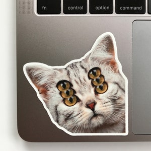 K&ouml;nnte beinhalten: Ein Aufkleber mit einer Katze mit mehreren Augen. Die Katze hat grau-wei&szlig;es Fell mit mehreren gelben Augen. Der Aufkleber befindet sich auf einem silbernen Laptop.