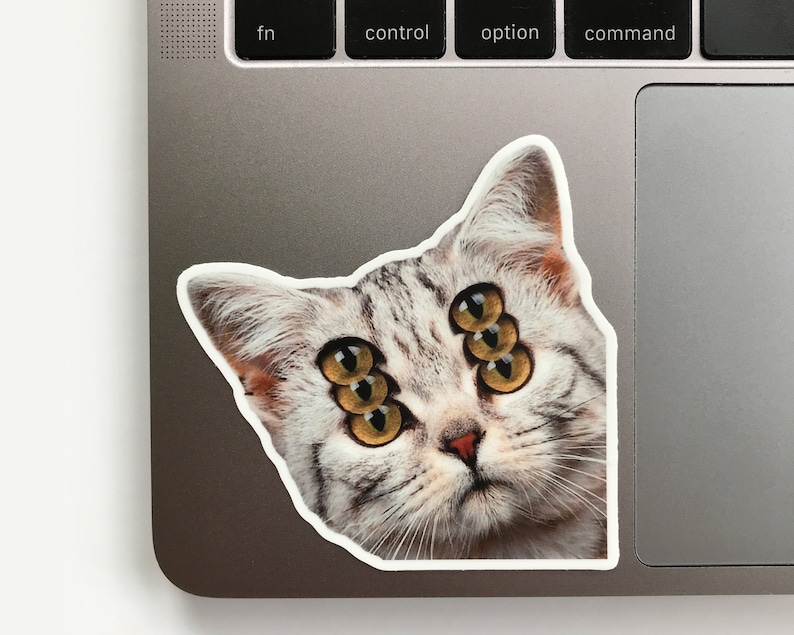 K&ouml;nnte beinhalten: Ein Aufkleber mit einer Katze mit mehreren Augen. Die Katze hat grau-wei&szlig;es Fell mit mehreren gelben Augen. Der Aufkleber befindet sich auf einem silbernen Laptop.