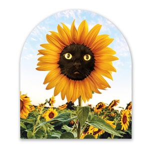 Black Cat Sticker, Weatherproof Vinyl, Laptop Sticker, Sunflower, Kitty Stickers, Sunflower, Black Cat Lover, Cat Stocking Stuffer
