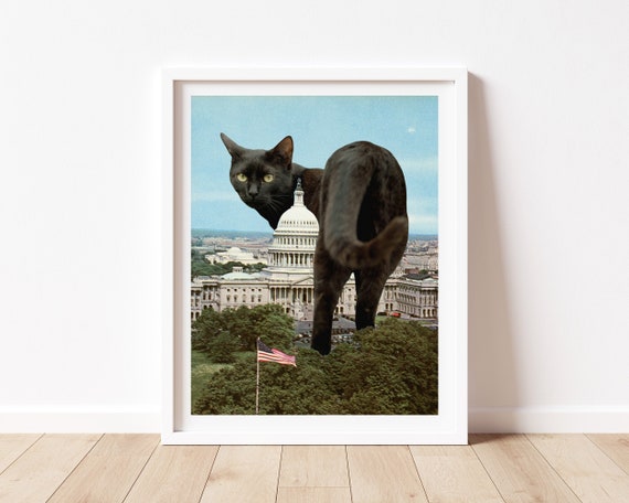 Black Cat Wall Decor, Washington DC Print, Political Signs, Cat Lover Gift, Surreal Collage, Unique Art, Humorous Print