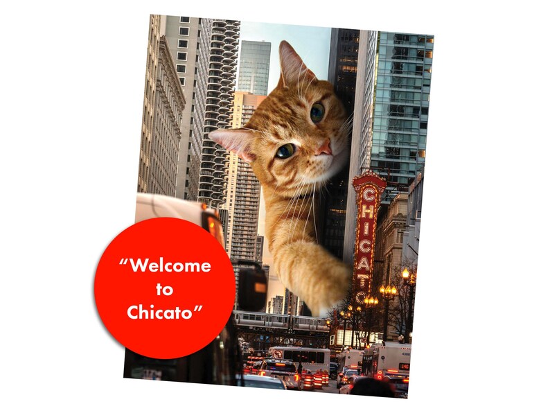 K&ouml;nnte beinhalten: Ein digitaler Kunstdruck mit einer riesigen orangefarbenen getigerten Katze, die zwischen Wolkenkratzern in einer Stadt hervorlugt. Eine leuchtend rote kreisf&ouml;rmige Grafik in der Ecke zeigt den wei&szlig;en Text "Welcome to Chicato" in serifenloser Schrift.