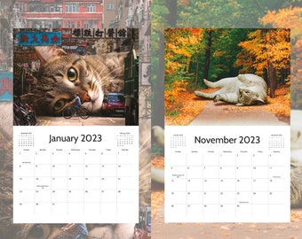 Calendrier De Chat Paresseux 23 Calendrier Mural De Chat Etsy Canada