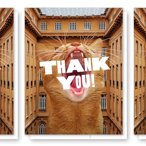 Carte de remerciement chat, carte chat mignon, papeterie chat, jeu de cartes vierges, carte de voeux unique, merci, chat orange, merci drôle, carte humoristique