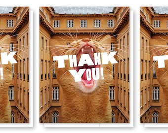Thank You Cat Card, Cute Cat Card, Cat Stationery, Blank Card Set, Unique Greeting Card, Thanks, Orange Cat, Funny Thank You, Humorous Card