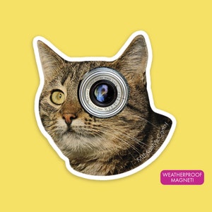 Big Feline is Watching Fridge Magnet, Cat Magnet, Car Magnet, Office Magnet, Cat Lover Gift