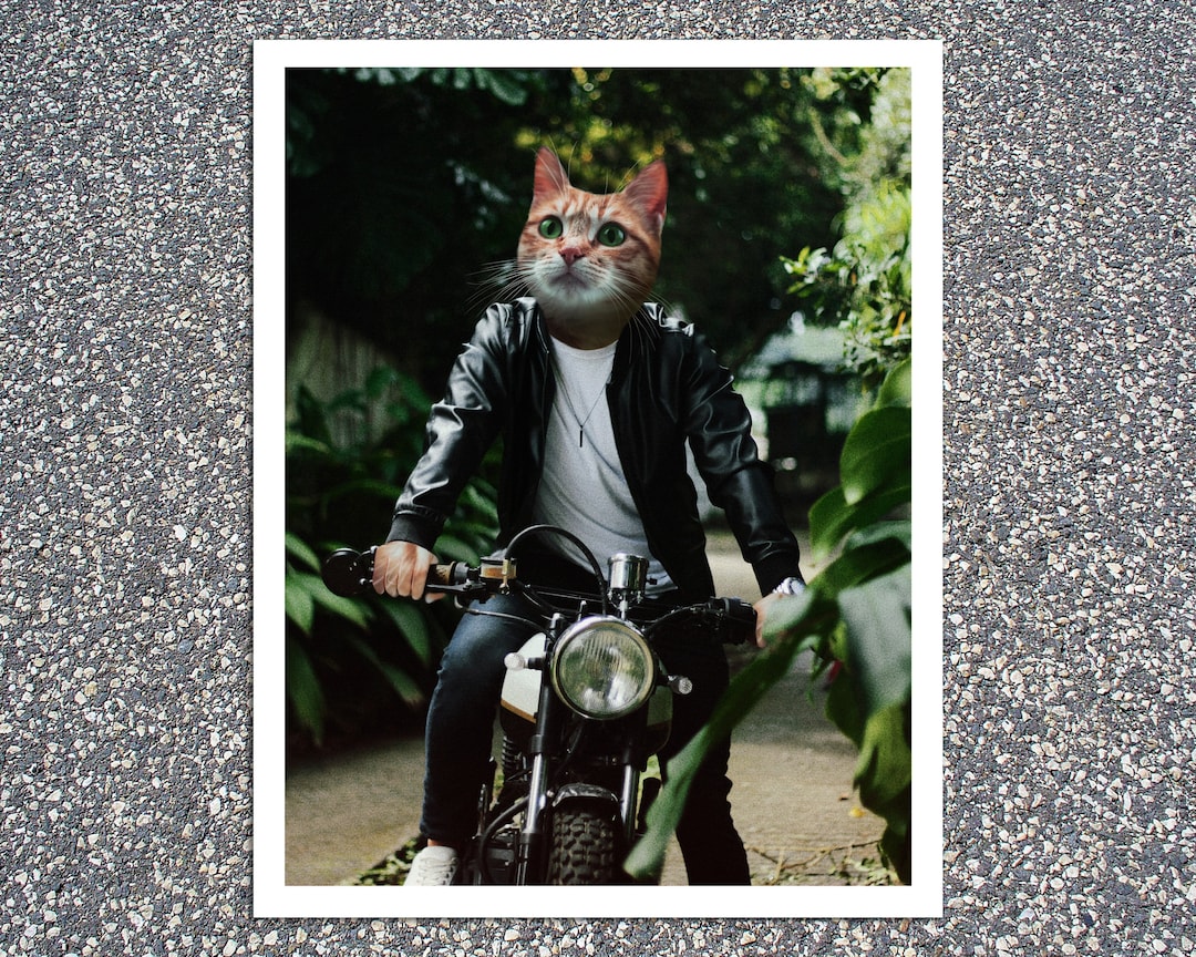 Motorcycle Cat Art Print, Cat Person Gift, Motorcycle Gifts, Orange Cat