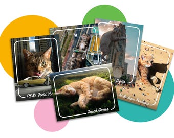 Pode incluir: Conjunto de cinco postais com gatos em várias situações engraçadas. Os postais apresentam o texto "I'll Be Seein' You", "Touch Grass", "Sights", "Hello from Paradise" e um gato com uma sombra numa praia.