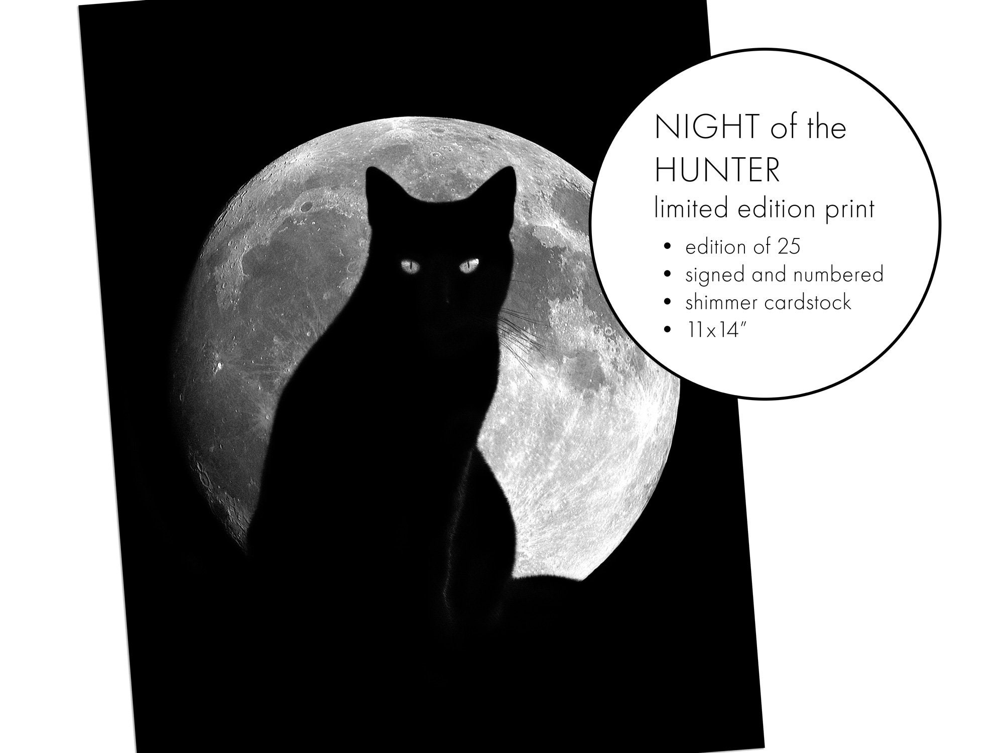 漫画 BLACK CAT サイン 【公式通販】