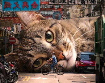Surreal Cat Art Print, Hong Kong Art, Cute Cat Gift, Cat Lover Gift, Bicycle, Surreal Home Decor, Unique Cat Art, Cat Present