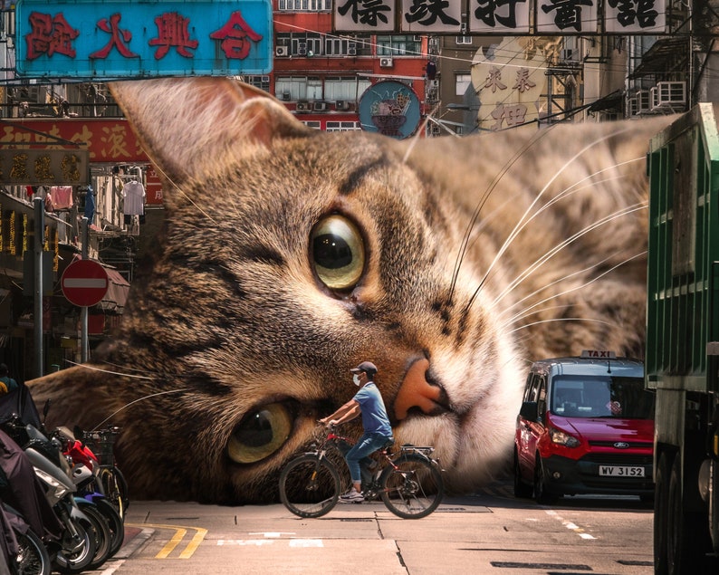 Surreal Cat Art Print, Hong Kong Art, Cute Cat Gift, Cat Lover Gift, Bicycle, Surreal Home Decor, Unique Cat Art, Cat Present image 1