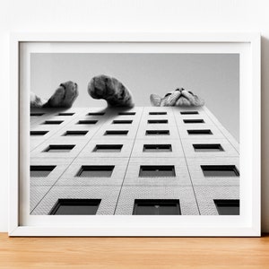 May include: A black and white photograph of a cat looking up at a tall building. The cat's paws are visible at the top of the building, as if it is climbing. The building has many windows.