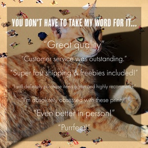 May include: A humorous image of a large orange tabby cat lying on a beach with tiny people on the sand. The cat is wearing a speech bubble with customer reviews about the quality of the product. The reviews include "Great quality", "Customer service was outstanding", "Super fast shipping & freebies included!", "I will definitely purchase items again and highly recommend", "I'm absolutely obsessed with these prints!", "Even better in person!", and "Purrfect!"