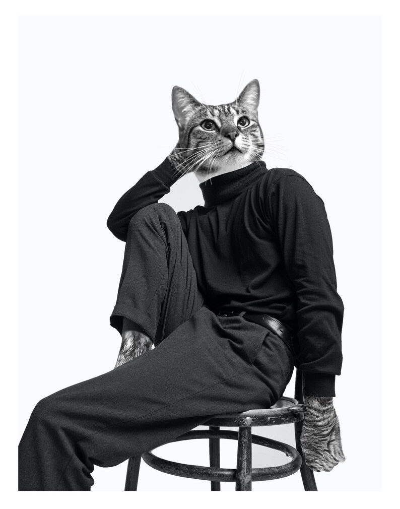 May include: A black and white photograph of a cat wearing a black turtleneck and black trousers, sitting on a wooden stool. The cat is looking upwards and has a serious expression.