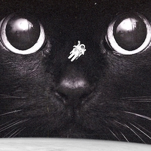 Black Cat Art Print, Space Wall Art, Astronaut Art, Cat Lover Gift Idea, Unique Cat Art, Black Cat Lover, Cat Home Decor, Cat Wall Art