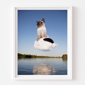 K&ouml;nnte beinhalten: Eine Siamkatze sitzt auf einer flauschigen wei&szlig;en Wolke, die &uuml;ber einem stillen Gew&auml;sser schwebt. Die Katze schaut nach rechts im Bild. Der Himmel ist blau.