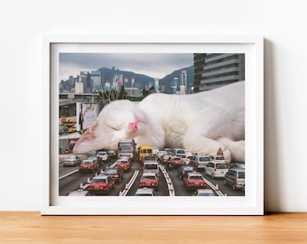 Hong Kong Kunstdruck, weiße Katze, Stau, Stadt, Taxi, schlafende Katze, Geschenk Katzenperson, Einweihungsparty