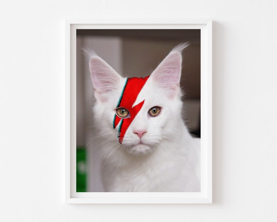 David Bowie Inspired Cat Art Print, Ziggy Stardust Poster, White