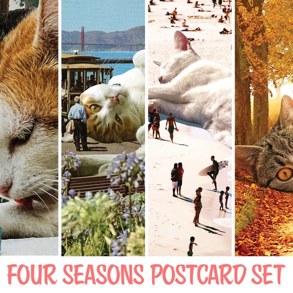 Cat Postcard Set of 8, Cat Cards, Cat Gift, Cat Mom, Cute Funny Cat, Seasonal Postcard Pack, Cat Notecards, Unique Postcard, Cat Mail