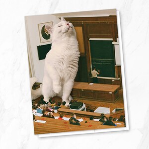 Animal de estimação do professor - cartão para professor, ideias de presentes para professores, cartão de gato branco, cartão de felicitações de gato, presente de amante de gato, cartão exclusivo, cartão para qualquer ocasião