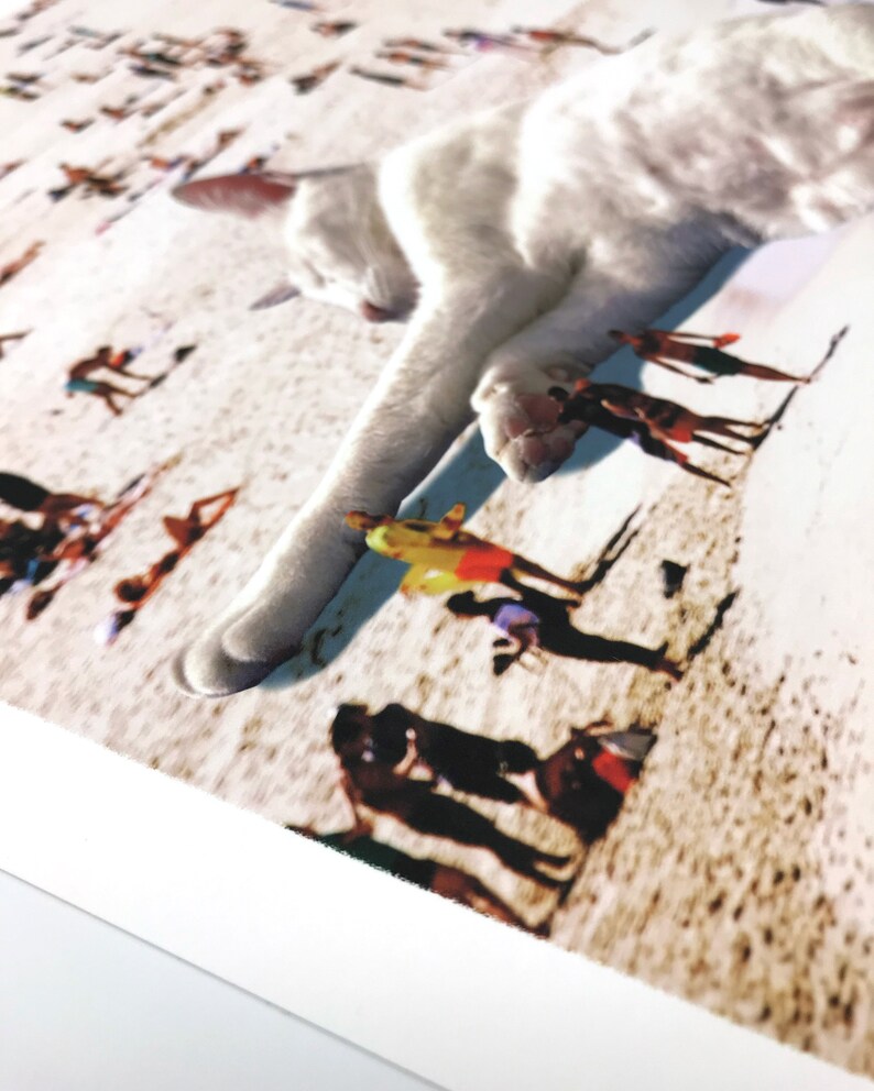 May include: A white cat lays on a beach with its paws outstretched. The cat is large and appears to be laying on top of a crowd of people on the beach. The people are blurred and appear to be small in comparison to the cat.