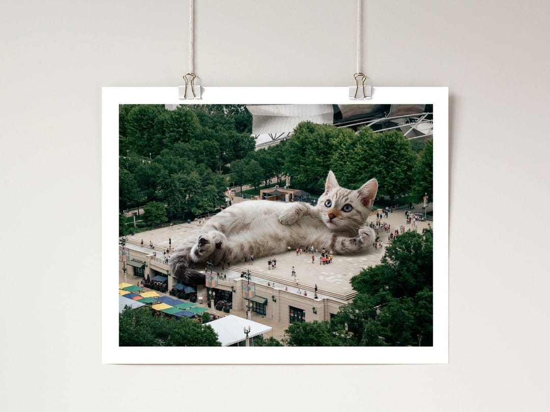 Chicago Print, Cat Art Print, Chicago Wall Art, Cat Lover Gift, Chicago ...