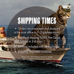 K&ouml;nnte beinhalten: Digital ver&auml;ndertes Bild mit einer getigerten Katze mit Matrosenm&uuml;tze, die auf einem Vintage-Kreuzfahrtschiff sitzt. Das Bild enth&auml;lt den Text "SHIPPING TIMES" und Aufz&auml;hlungspunkte zur Auftragsbearbeitung und zum Versand.