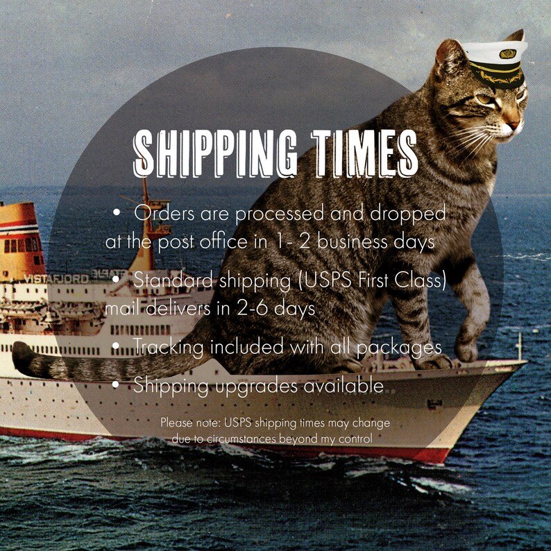 K&ouml;nnte beinhalten: Digital ver&auml;ndertes Bild mit einer getigerten Katze mit Matrosenm&uuml;tze, die auf einem Vintage-Kreuzfahrtschiff sitzt. Das Bild enth&auml;lt den Text "SHIPPING TIMES" und Aufz&auml;hlungspunkte zur Auftragsbearbeitung und zum Versand.
